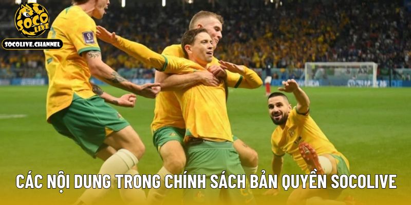 Các nội dung trong chính sách bản quyền Socolive