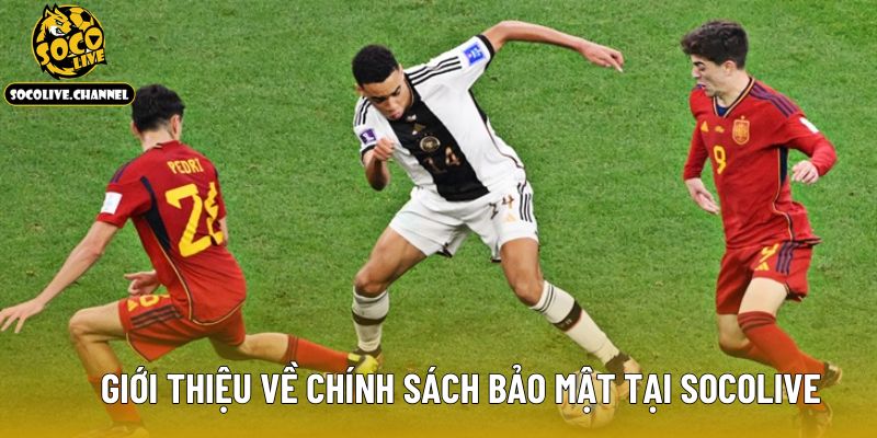 Giới thiệu về chính sách bảo mật tại Socolive