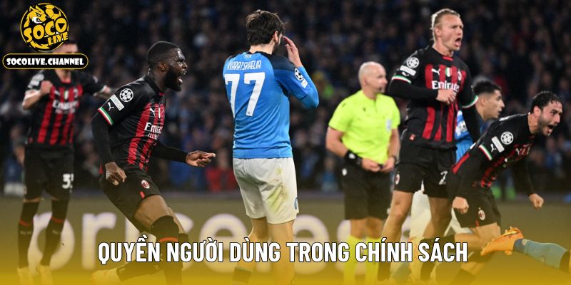 Quyền người dùng trong chính sách