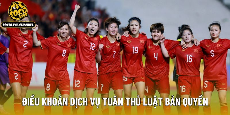Điều khoản dịch vụ tuân thủ luật bản quyền
