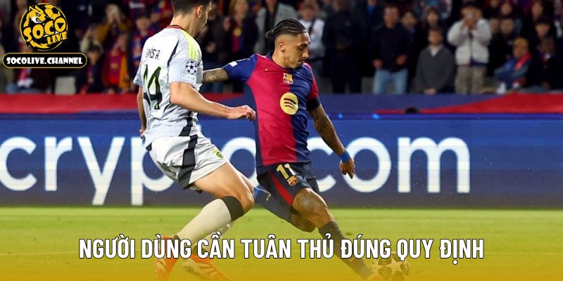 Người dùng cần tuân thủ đúng quy định
