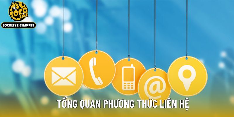 Tổng quan phương thức liên hệ
