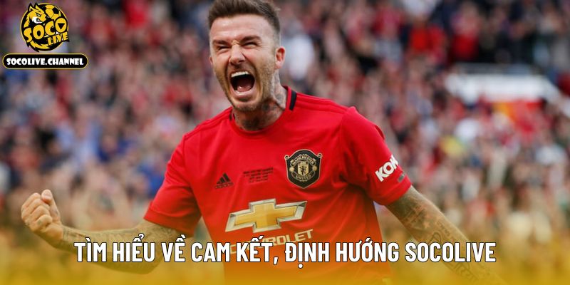 Tìm hiểu về cam kết, định hướng Socolive